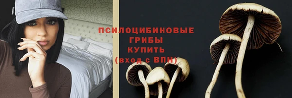 экстази Гусев