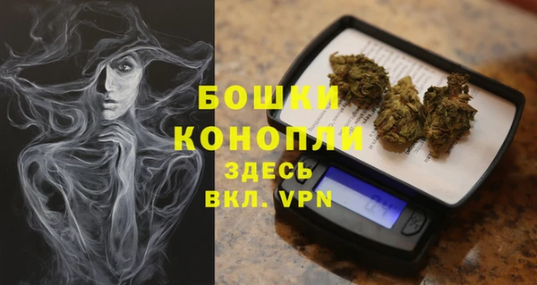 экстази Гусев